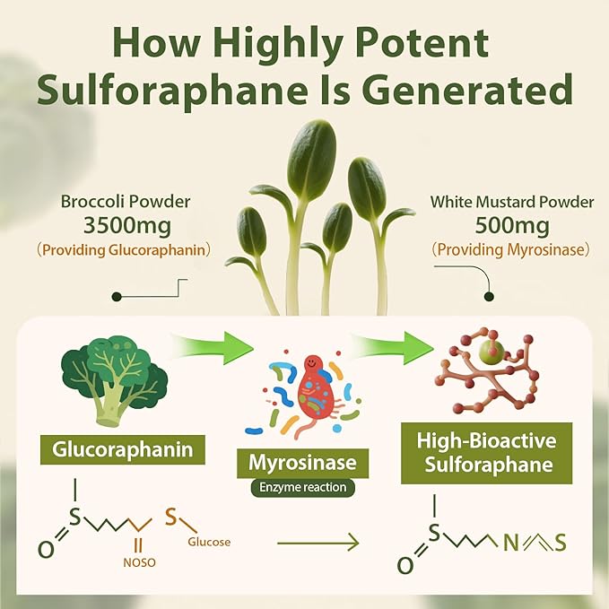 Sulforaphane Supplement from Broccoli Sprouts | NRF2 Activation Antioxidant &amp Detox Support | Broccoli Sprout Powder for Myrosinase and Glucoraphanin | Vegan High Absorption | 60 Servings