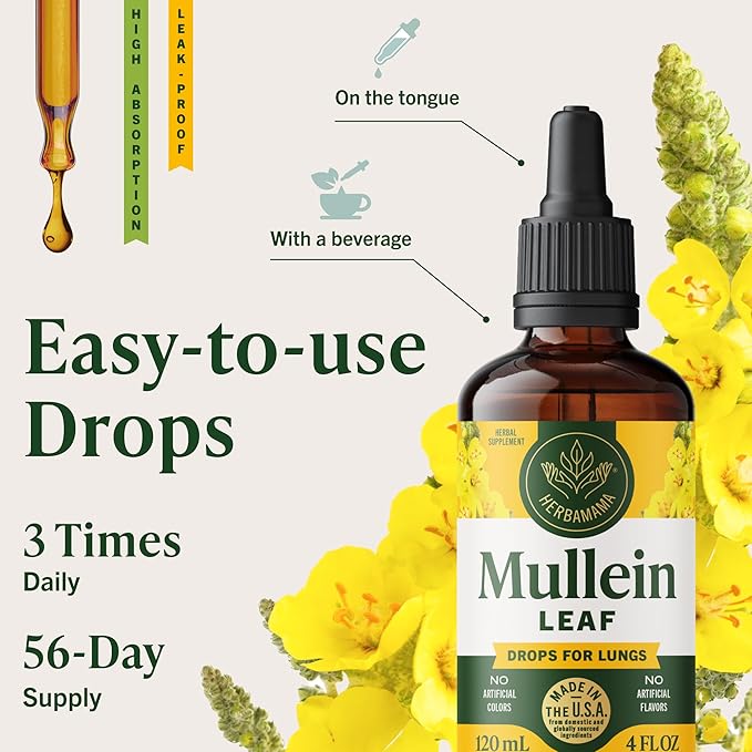 HERBAMAMA Mullein Drops for Lungs - Vegan Lung Cleanse with Mullein Leaf Extract Echinacea Tincture &amp Licorice - Non-GMO Alcohol &amp Sugar-Free Respiratory Support Supplement - 56-Day Supply