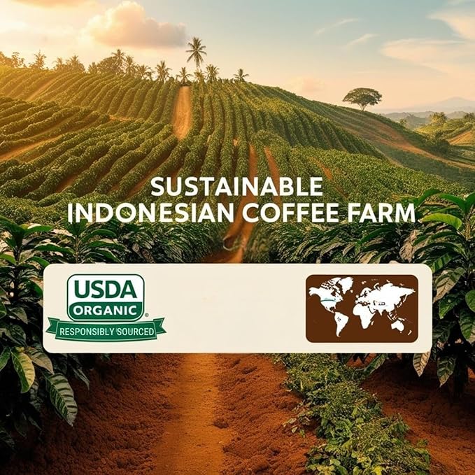 Current Crop Roasting Shop Bali Hai Organic Decaf Coffee Beans – Unroasted Green Coffee – Swiss Water Process – Indonesia Blend – Smooth &amp Balanced with Cocoa &amp Marshmallow Notes - 3 Pound Bag