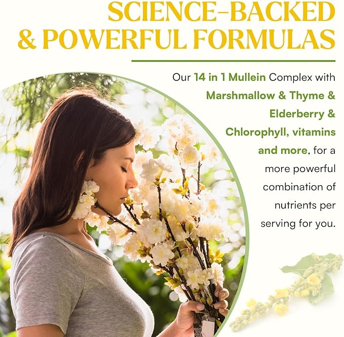 Mullein Drops For Lungs Liposomal 14 In 1 Mullein Leaf Extract For Lungs Mullein Drops with Elderberry Chlorophyll Thyme - for Lung Cleanse Detox Respiratory Immune Health 3 Fl 0Z Mint Flavor
