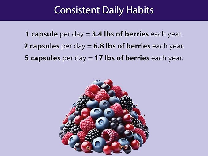 KOYAH - Organic Berry Blend Capsules – 600 mg - Freeze-Dried 100% Pure Antioxidants &amp Polyphenols - 60 Capsules