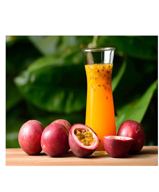 Nectar de Maracuya Passion Fruit Nectar 1 pack 405 Fl oz 1200 ml