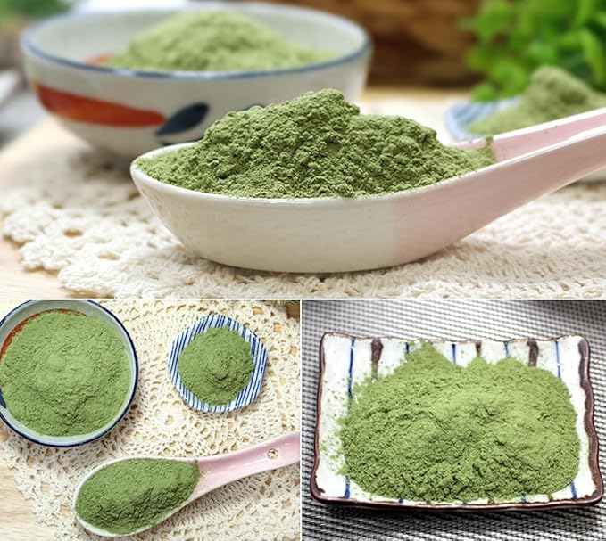 Organic Natural Pure Ashitaba Angelica keiskei Extract Powder - 1.1 Pound (500g)