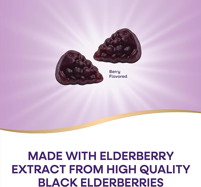 Nature’s Way Sambucus Kids Elderberry Immune Gummies with Black Elderberry Extract Daily Immune Support Gummy with Vitamin C and Zinc for Children Ages 2+* 60 Gummies (Set of 3)