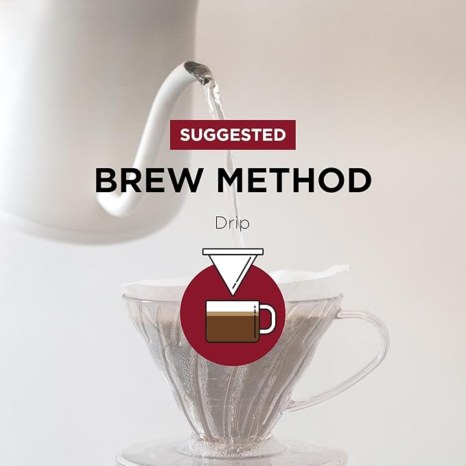Fonte Coffee Roaster - Drip Coffee - Medium-Dark Fresh Roast - Roasted in Seattle - Single Origin - Bright Chocolately Balanced - 12 oz - Fonte AA