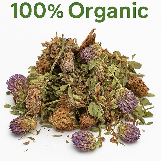 Organic Bio Herbs-Premium Dried Red Clover Flowers – Natural Herbal Tea Wellness Support Handpicked &amp Sun-Dried for Maximum Potency (Trifolium pratense) 6 Oz.