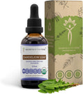 Secrets of the Tribe Dandelion Leaf USDA Organic | Alcohol-Free Extract High-Potency Herbal Drops Digestive System | Made from 100% Certified Organic Taraxacum Officinale Dried Leaf 2 oz