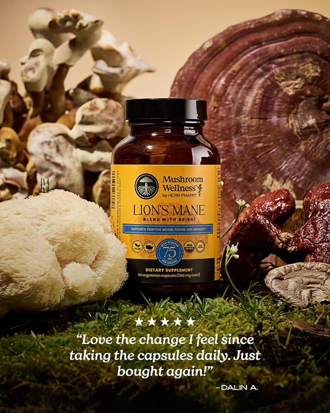 Mushroom Wellness Lion’s Mane Blend with Reishi: Organic Lion's Mane &amp Reishi Mushroom Capsules Mushroom Powder Supplement Supports Cognitive Health Memory and Mental Focus 90 Vegan Capsules