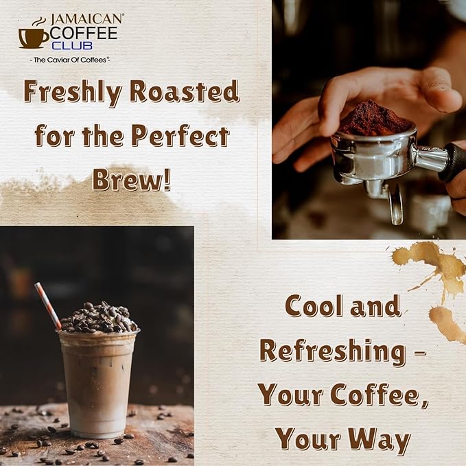 JamaicanCoffeeClub 100% Blue Mountain Whole Bean Coffee WB 8oz Jamaican Roasted Beans Smooth Rich Flavor Handpicked Gourmet Beans Bold Medium Roast Fresh Pack Premium Jamaican Coffee