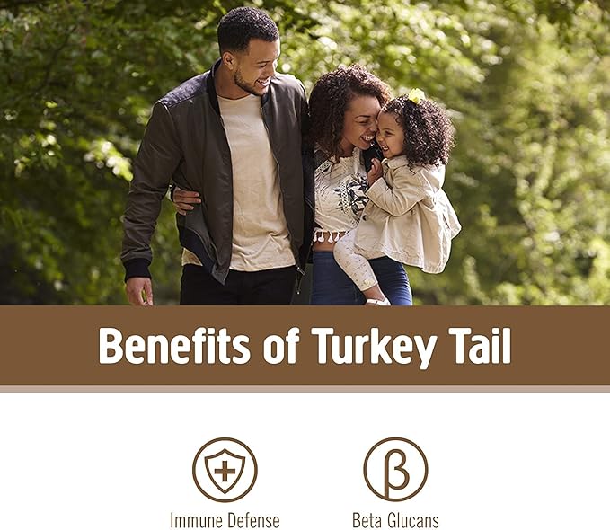 Om Mushroom Superfood Turkey Tail Mushroom Capsules Superfood Supplement 90 Count 30 Days Immune Support Polysacchrides Beta-Glucans Gut Health &amp Holistic Defense Mushroom Supplement