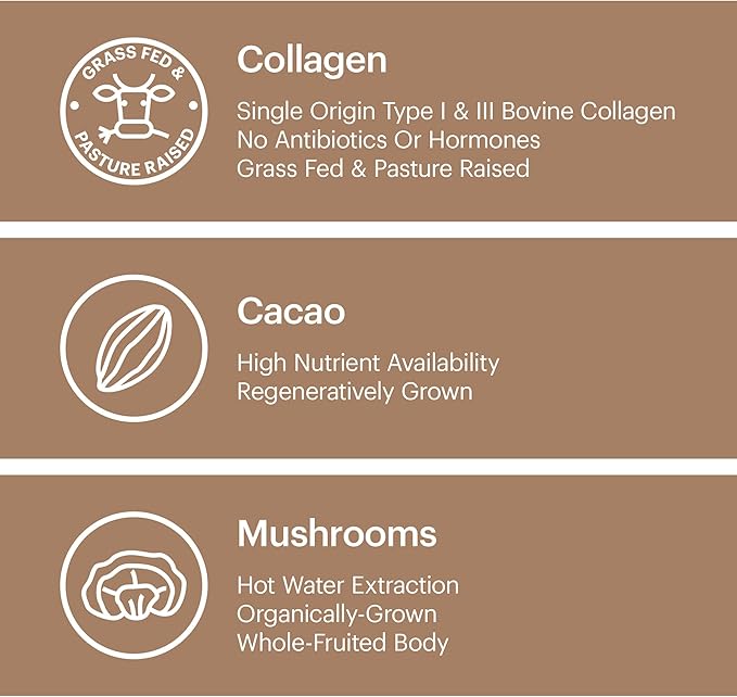 Wellthy Collagen Superfood Powder Fights Stress &amp Fatigue Cacao Mushroom Powder - Organic Chaga &amp Reishi Extracts Certified Organic Matcha Allergen-Free &amp Non-GMO
