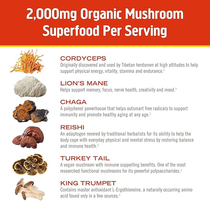 OM MUSHROOM SUPERFOOD Morning Energy Blend – Caffeine-Free Powder with Cordyceps Lion’s Mane Rhodiola &amp Vitamin D2 – Supports Energy Focus &amp Endurance – 8.47 oz Canister (30 Servings)
