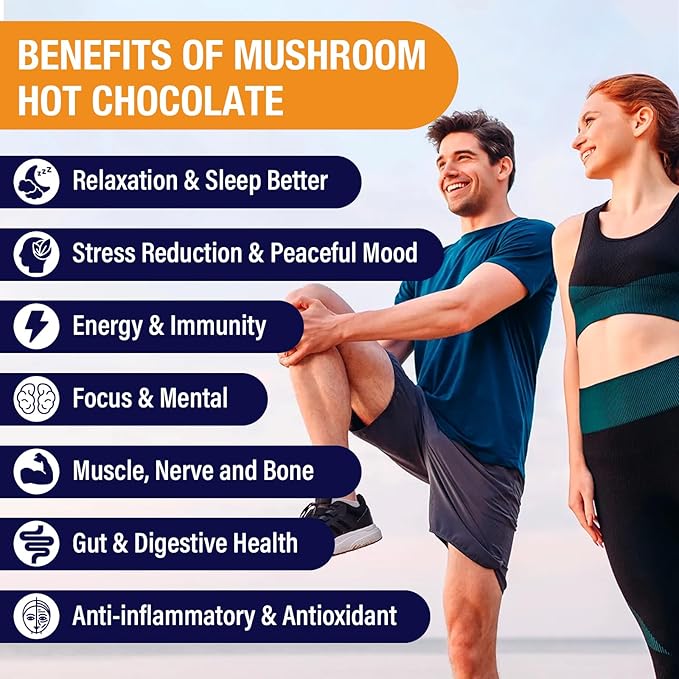 Mushroom Hot Cocoa with Magnesium Glycinate Reishi L-Theanine Ashwagandha Lemon Balm Lavender Cacao Powder Organic Hot Chocolate Supplement for Sleep Relaxation No Melatonin Vegan 3P