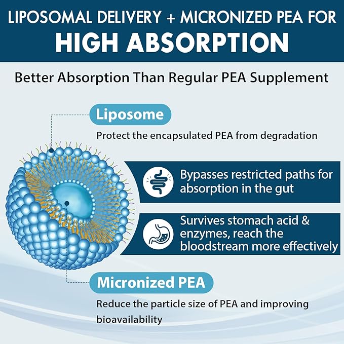 Liposomal Palmitoylethanolamide 1300 MG Plus Luteolin 100 MG Superior Absorption Micronized Pea Supplement for Discomfort Management 120 Softgels