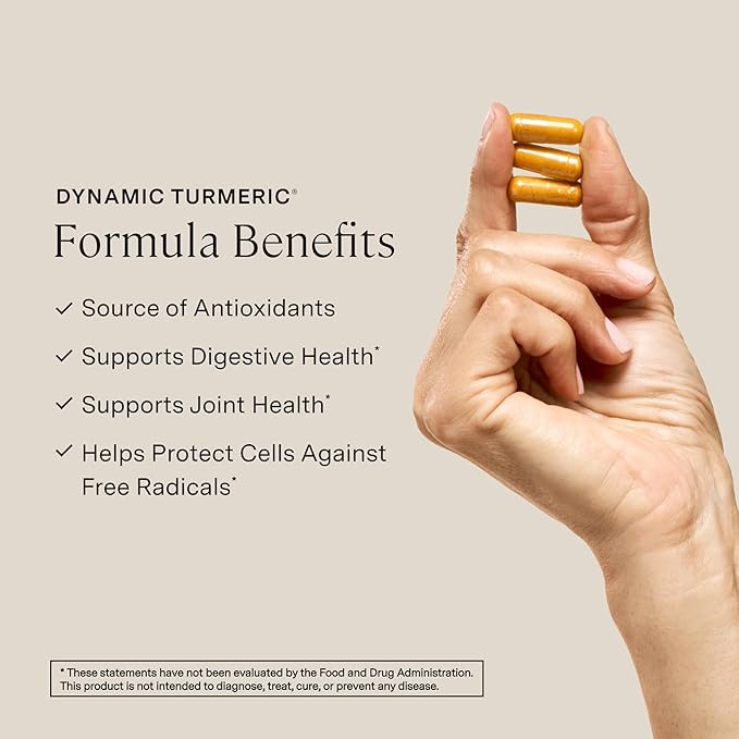 Stonehenge Health Dynamic Turmeric Curcumin with Ginger - High Potency - 1650 mg Turmeric with 95% Curcuminoids &amp BioPerine 90 Vegetarian Capsules