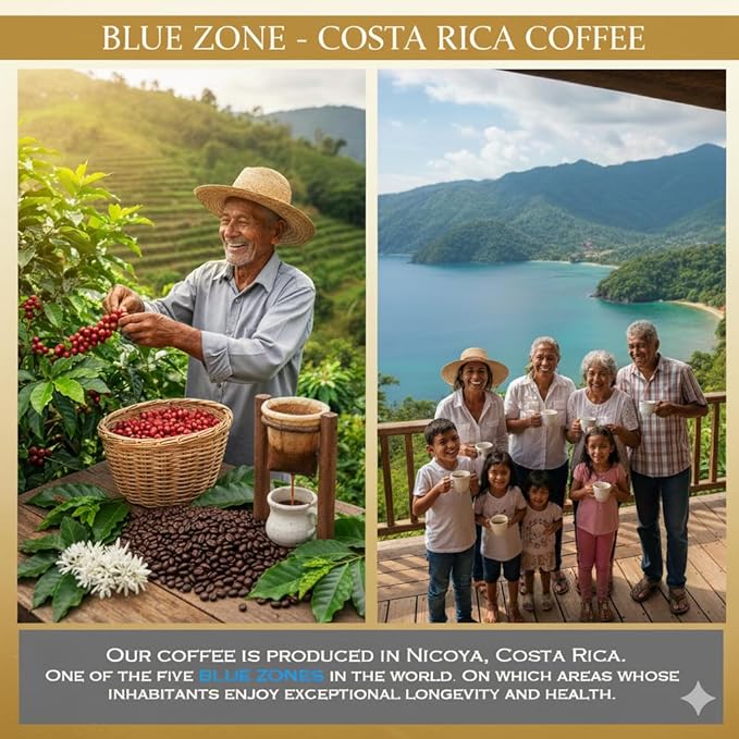 Golden Coffee Costa Rica Gourmet Pea Berry Honey 100% Arabica Coffee with Caramel Cinnamon and Citrus Notes Harvested in Blue Zone Nicoya Costa Rica 12oz (Ground) (Honey)