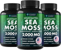 Sea Moss Capsules - Irish Sea Moss Advanced with Burdock Root Bladderwrack &amp Muira Puama for Immunity Gut &amp Energy - Superfood Sea Moss Supplements w/Raw Sea Moss Powder 120 Capsules (3 P