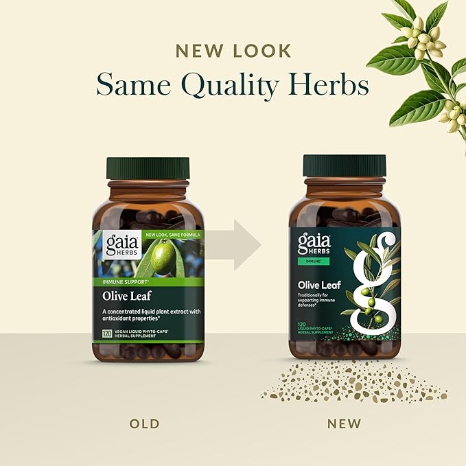 Gaia Herbs Olive Leaf - Traditional Immune Health Support - Immune System Supplement with Olive Leaf Extract &amp Oleuropein* - 120 Vegan Liquid Phyto-Caps (120 Servings)