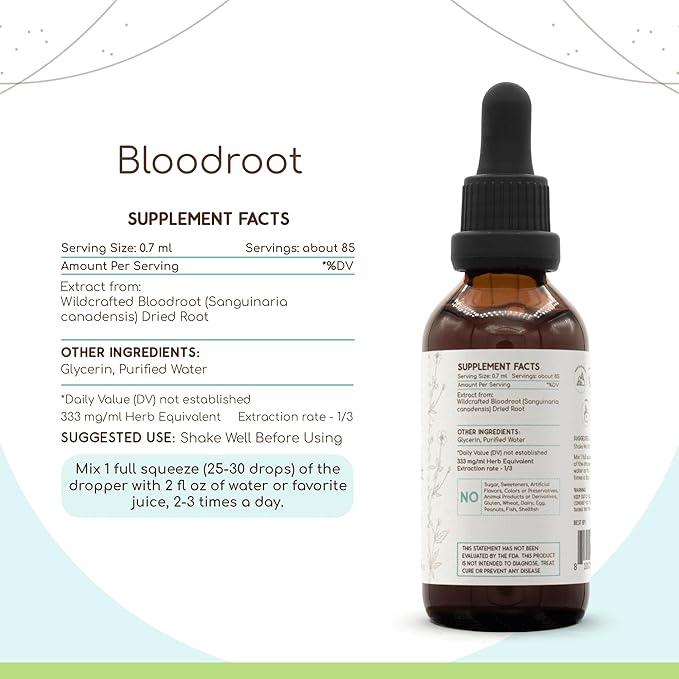 HerbEra Bloodroot Tincture B60 Alcohol-Free Extract Super-Concentrated Responsibly farmed Bloodroot (Sanguinaria Canadensis) Dried Root (2 Fl Oz)