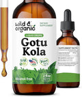 Wild &amp Organic Gotu Kola Herb Tincture - Brain Support - Gotu Kola Liquid Extract Drops - Vegan Sugar &amp Alcohol-Free Centella Asiatica Supplement - 2 fl oz