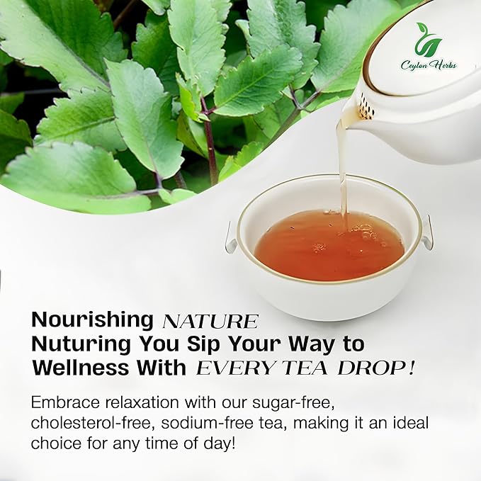 Kalanchoe Pinnata Leaves Tea Bags – 100% Pure Dried Leaves Herbal Tea Bags for Daily Brewing