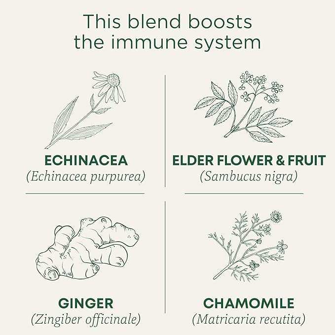Traditional Medicinals Tea Organic Echinacea Plus Elderberry Boosts the Immune System 96 Tea Bags (6 Pack)