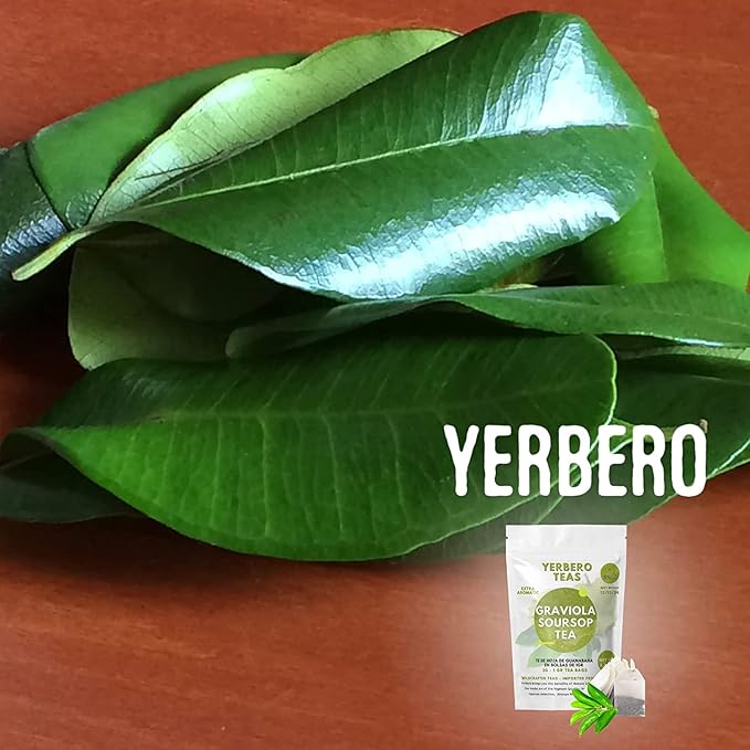 Yerbero - Whole Wildcrafted Dried Graviola Soursop Leaves 1 LB (453g - 1300+ Leaves Per Bag) Hoja De Guanabana Seca Crafted By Nature | Vacuum Sealed for Freshness | From Mexico | Premium Quality.