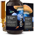 Fantastic Fungi Cordyceps Mushroom Tincture Drops - 4-in-1 Stress Support &amp Energy Elixir with Ginseng Turkey Tail &amp Rhodiola - Organic Mushroom Extract Liquid 30 Servings 1 fl oz