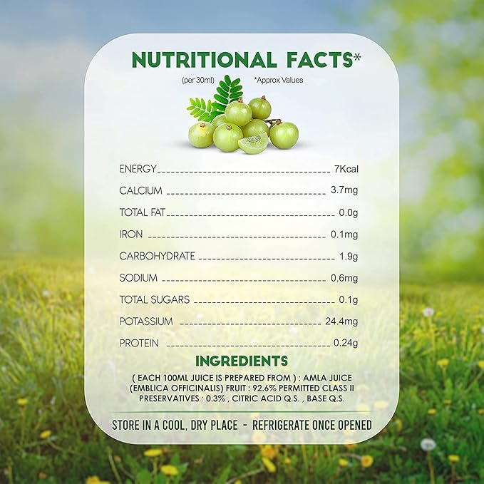GARDEN OF NUTRITION Herbal and Ayurvedic Amla Premium Juice | Pure and Natural | Rich Source of Natural Vitamin C (500ml) PACK OF 1