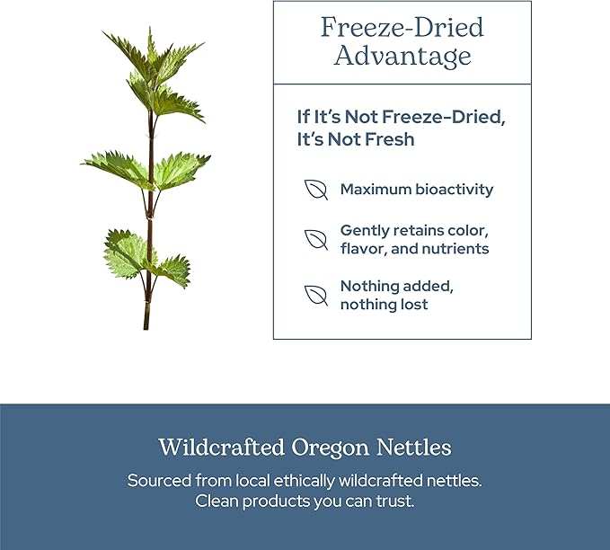 Eclectic Herb - Raw Freeze Dried Nettle Leaf Capsules | Supports Sinuses + Immune Response | Natural Herbal Supplement | Non-GMO Vegan Whole Herb (90 CT | 300 mg)