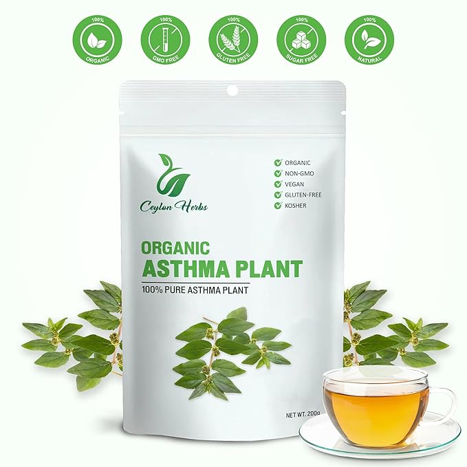 Astma Leaves Powder Euphorbia Hirta 100% Natural Dried Leaves Finely Ground Pure &amp Clean Culinary Grade No Additives or Preservatives