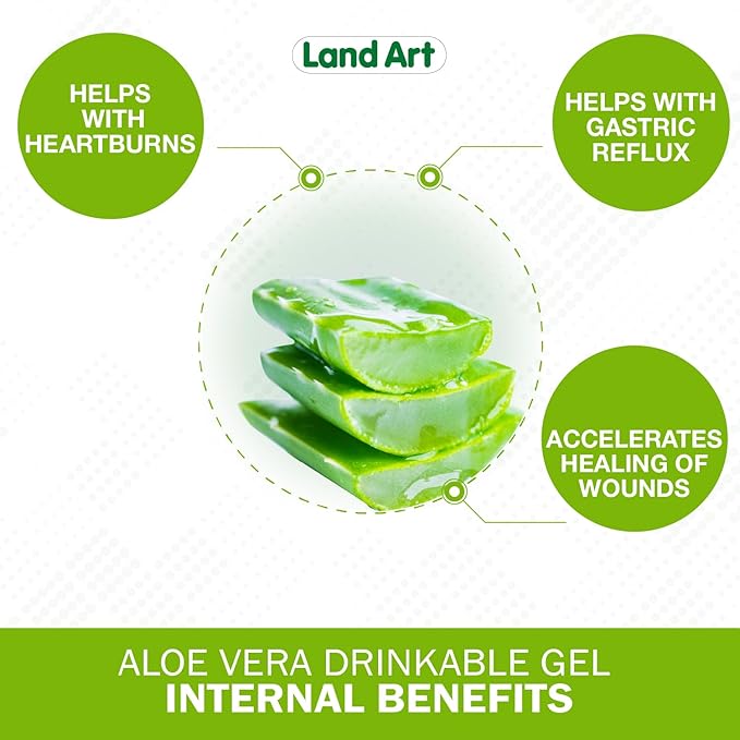 Land Art Pure Aloe Vera Drinkable Gel - Orange Tangerine Flavored - Cold-Processed Inner Filet - from Organic Fresh Leaves from Texas - for Heartburn Relief - Acid Reflux - 64 fl oz