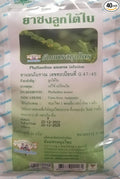 Phyllanthus Amarus (LUK Tai Bai) - 40 Teabags