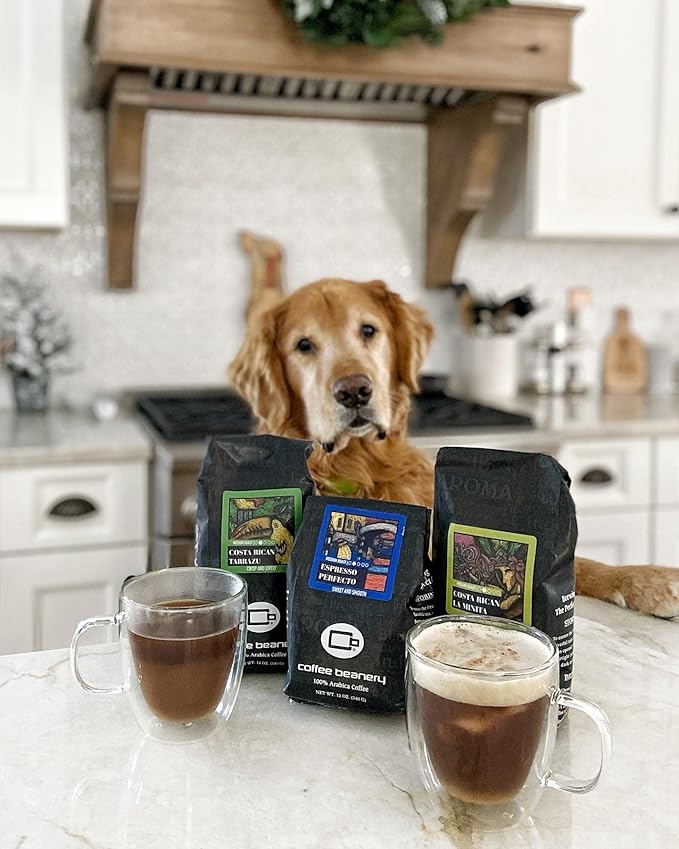 Espresso Perfecto Specialty Coffee | 1 Bag 3LB Coffee (Very Fine) | Medium-Dark Roast