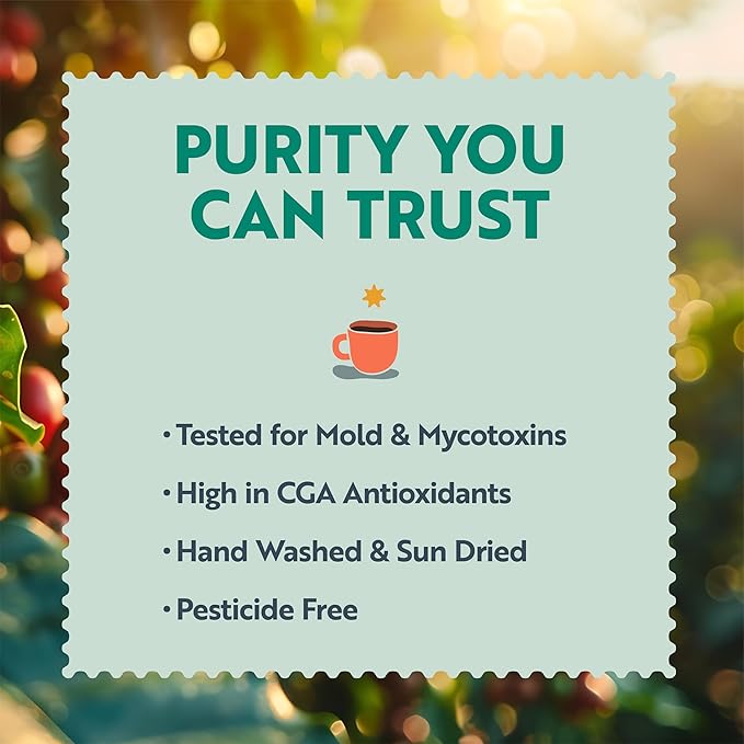 Clean Coffee Co. - Low Acid Medium-Dark Roast Tested for Molds and Toxins Papua New Guinea Blend Notes of Milk Chocolate and Roasted Almonds (Whole Bean 12 oz Bag)