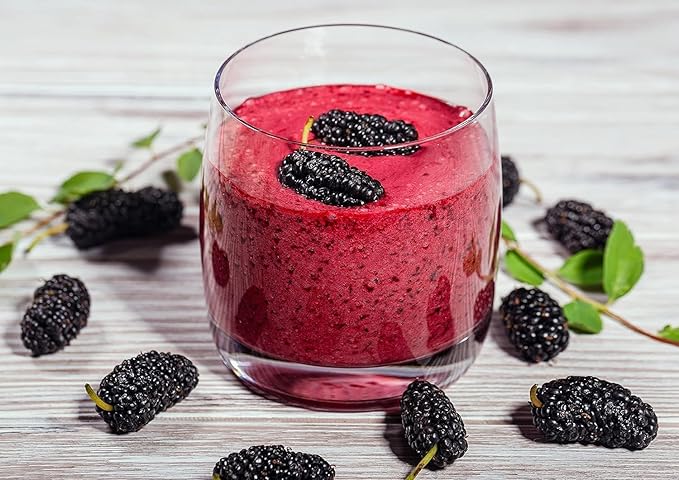 Food to Live Organic Mulberry Juice Powder 1 Pound – Non-GMO Made from Raw Dried Berries Unsulfured Vegan Bulk Great for Baking Juices Smoothies Yogurts Contains Maltodextrin No Sulphites