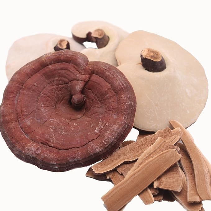 Reishi Mushroom - Product of Japan - Ganoderma lucidum Loose Slices by Nature Tea (2 lbs)