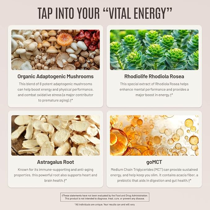 ROUNDHOUSE PROVISION Qi Master Adaptogen Blend Earthy Mushroom Flavor with Astragalus Root Rhodiolife Extract MCT 8 Organic Mushrooms (30 Scoops) by Chuck Norris