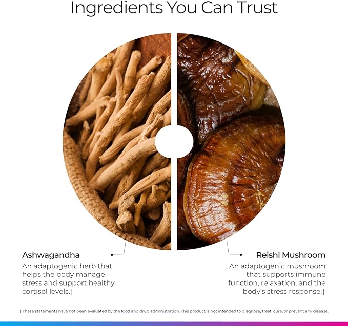 Livingood Daily Stress Support 12-in-1 Supplement with Ashwagandha Reishi Mushroom Vitamin B6 Adaptogenic Herbs &amp Magnesium Supports Mood &amp Calm Gluten Free Vegan 60 Vegetarian Capsule
