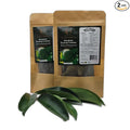 Organic Jamaican Soursop Leaf Tea – 2 Pack (2 x 1oz) – Handpicked Graviola Leaves – Bushtea-Dried Tea Leaves – 100% Natural Dried Soursop from Jamaica – Inspired Gems SoursopLeaves
