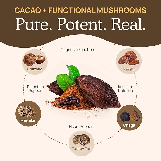 Real Mushrooms Unsweetened Hot Chocolate Mix with 5 Defenders – Reishi Chaga Turkey Tail Maitake Shiitake – Coco Powdered Unsweetened – Organic Cacao Powder Supplement Vegan 15 Servings