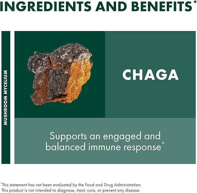 Host Defense Chaga Powder - Immune System Support Supplement - Chaga Mushroom Powder for Antioxidant Activity Support - Dietary Mushroom Supplement - 3.5 oz (66 Servings)*