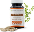 Secrets of the Tribe Quinine Capsules 1000 mg Wildcrafted Quinine (Cinchona officinalis) Dried Bark Leg Cramp Support Supplement (60 Capsules)