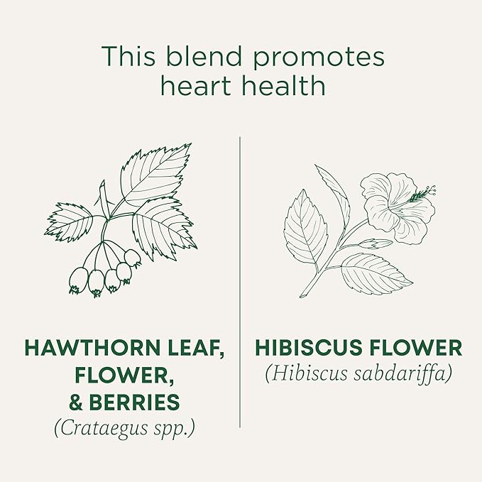 Traditional Medicinals Tea Organic Hawthorn &amp Hibiscus Promotes Heart Health 96 Tea Bags (6 Pack)