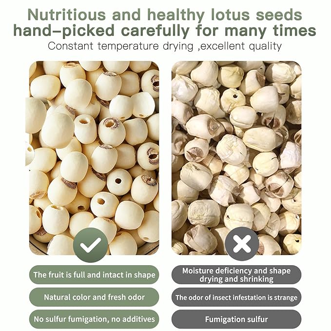 Lotus Seeds Dried Lotus Seed White Lotus Seeds Lian zi Natural Herbal Tea Cooking Porridge and Soup Raw Material 莲子 白莲子 煲汤煮粥 14.1oz/400g