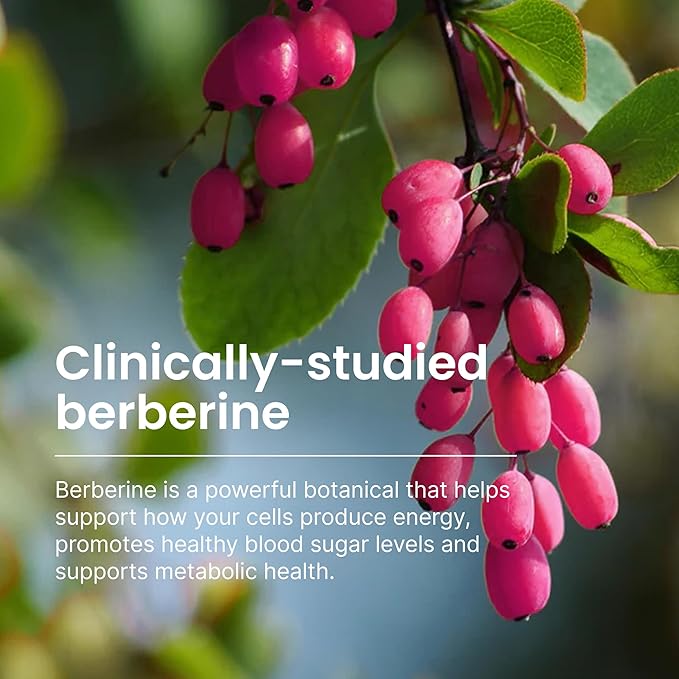 Humann SuperBerine Berberine Supplements Healthy Metabolism &amp Blood Sugar Support - Clinically Researched Ingredient - High Absorbency Concentrated Dose Formula with Olive Leaf Extract - 30 Caps
