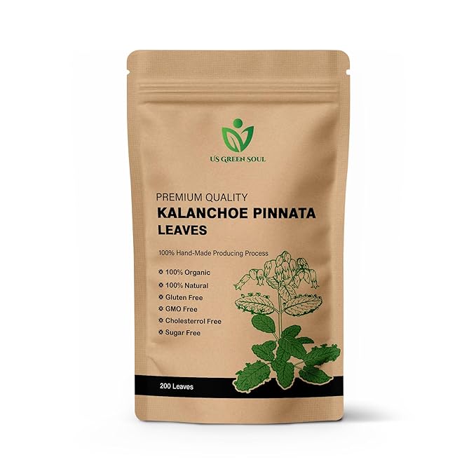 200 Kalanchoe Pinnata Leaves - 100% Pure Organic Dried Leaves for Teas Smoothies