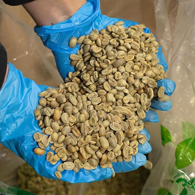 Fresh Roasted Coffee Unroasted Ethiopian Yirgacheffe Kochere Kosher 5 Pound
