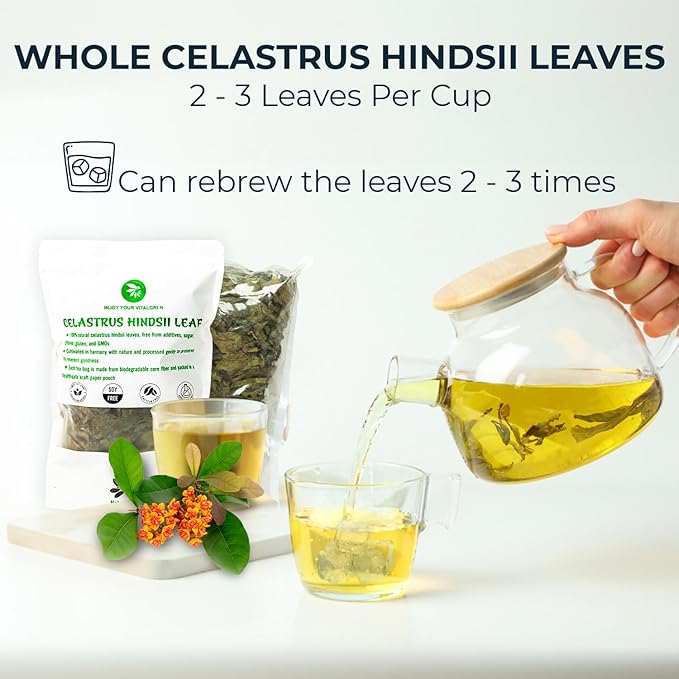 Celastrus Hindsii Leaf Tea - Re-Steep Pure Whole Leaves Vacuum Sealed - 4.23 oz Support HealthSystem Natural Herbal Tea No Sugar No Additives