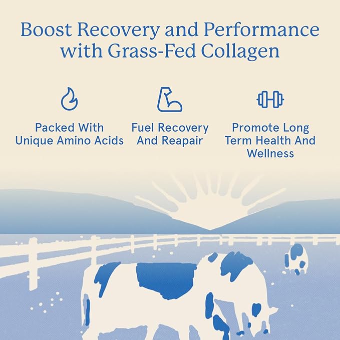 Equip Foods Grass Fed Collagen Powder | Hydrolyzed Bovine Collagen Peptides with Amino Acids | Prime Beef Collagen for Healthy Joints Skin &amp Nails | Non-GMO Paleo Friendly | 30 Servings Vanilla